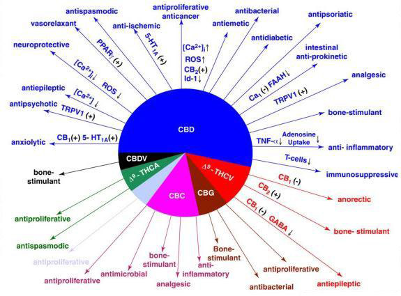 Cannabis Chart